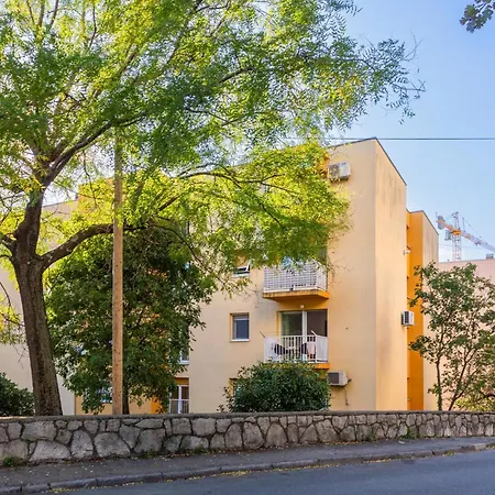 3 Bedroom Pet Friendly In Apartment *