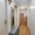 3 Bedroom Pet Friendly In غييكا