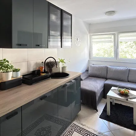 De 3 Que Admite Mascotas En Apartamento